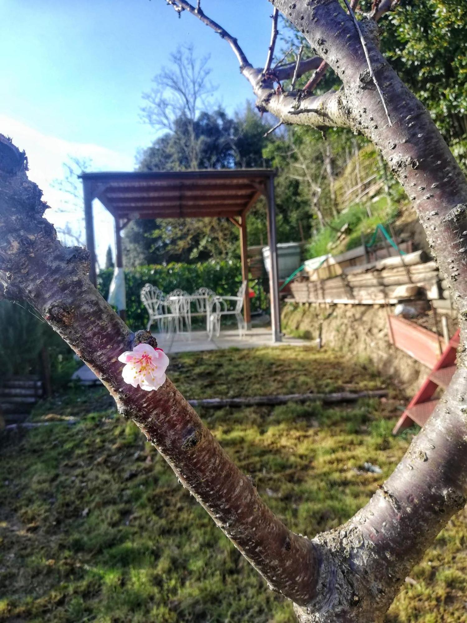דירות סן ג'ימיניאנו Casa Laura מראה חיצוני תמונה